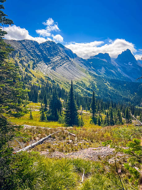istock Scenic Mountains Range View from Highline Trail in Glacier National Park 2232742461