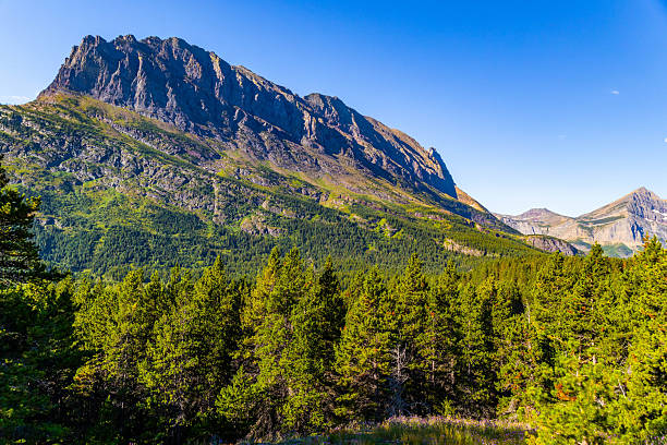 A scenic view captures a majestic mountain range from the Iceberg Lake Trail in Glacier National Park