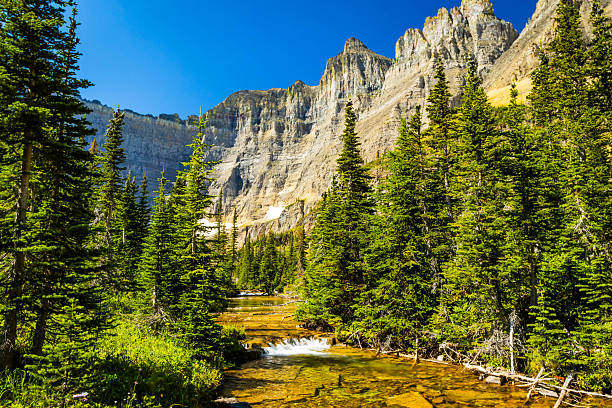 A scenic view captures the waters of Iceberg Creek as they flow through Glacier National Park