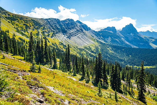 istock Scenic Mountains Range View from Highline Trail in Glacier National Park 2232747625