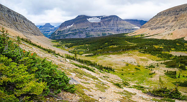 istock Panoramic view of Glacier National Park from Siyeh Pass Trail 2232748317