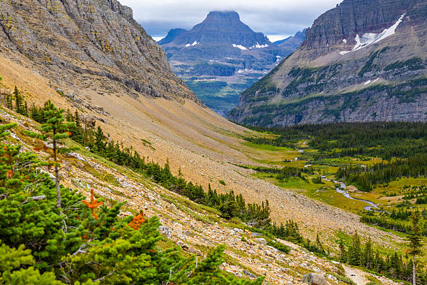 istock Panoramic view of Glacier National Park from Siyeh Pass Trail 2232748337