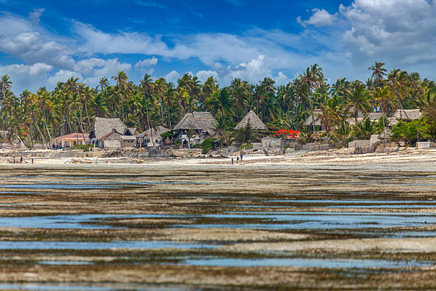 Tropical houses in tropical locations surrounded by palm trees. Tropical location in africa.