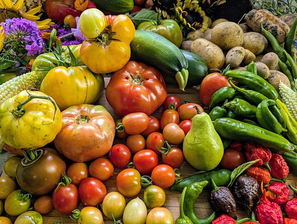 istock top down view of a diverse vegetable heirloom harvest 2232765165
