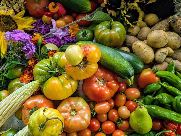 top down view of a diverse vegetable heirloom harvest