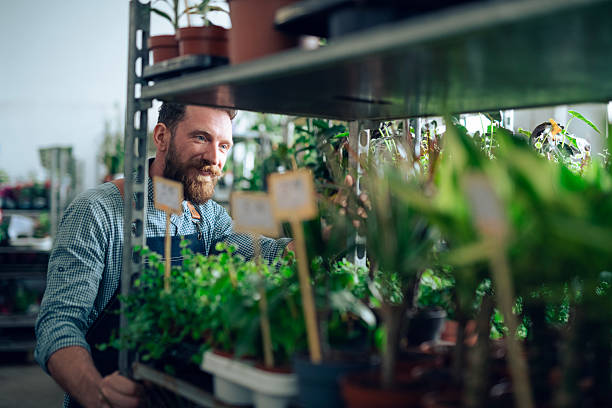 istock Florist working in flower warehouse. 2232775359