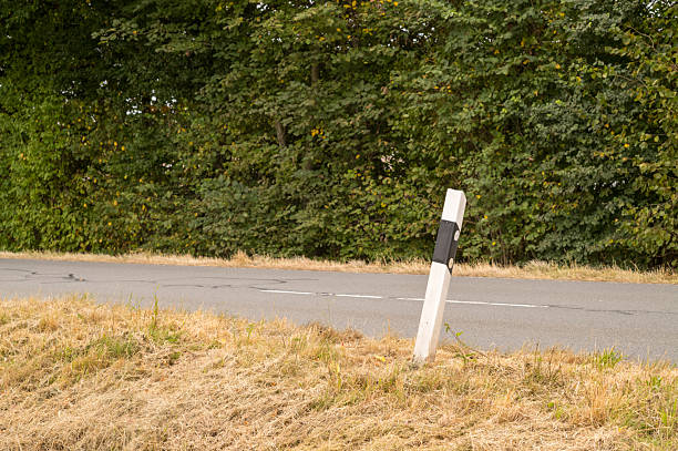 White concrete roadside post with black reflector marking the edge of a paved road with dry grass and green bushes
