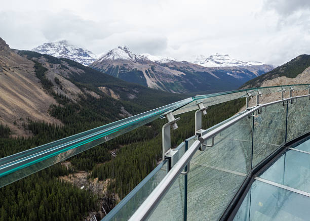 istock Scenic Mountain Observation Deck with Panoramic Glacier and Forest Views 2232781220