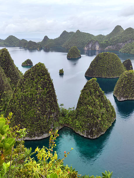 istock Panoramic view of Wayag lagoon, Raja Ampat, Indonesia 2232781349