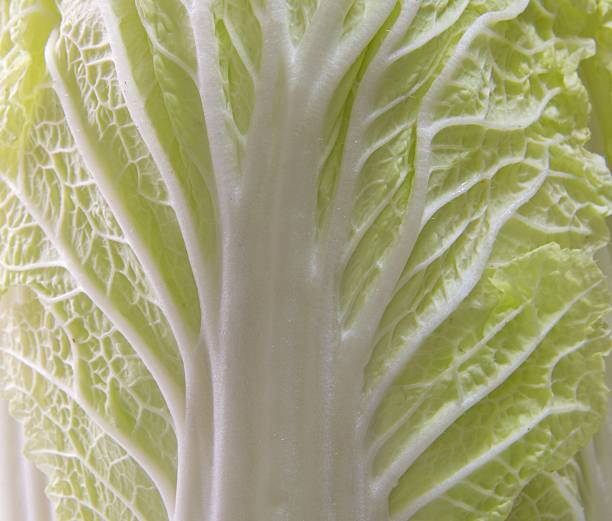 istock Close up photo on Napa cabbage. 2232787888