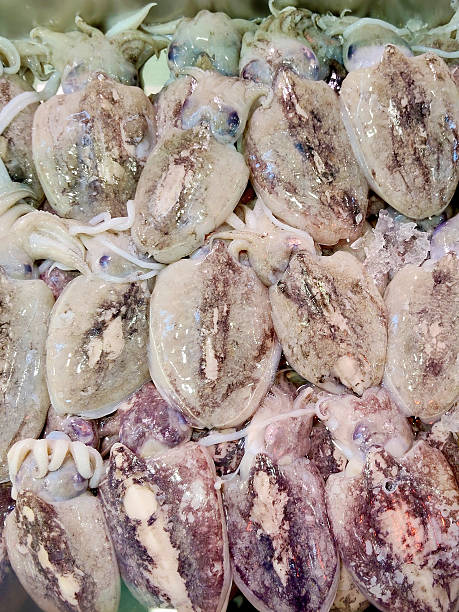 istock Raw Cuttlefish on Ice at a Seafood Market 2232789624