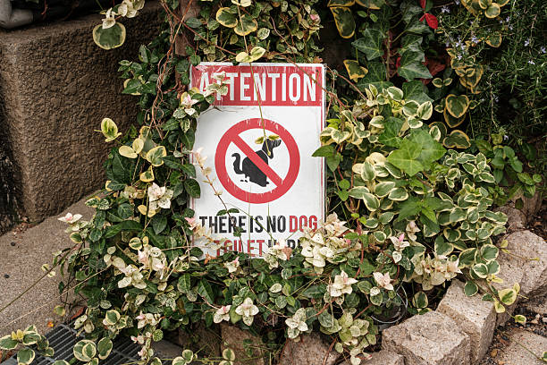 Attention, no dog toilet here sign in a garden.