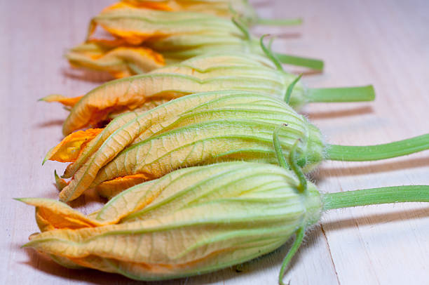 many zucchini flowers on wooden background
