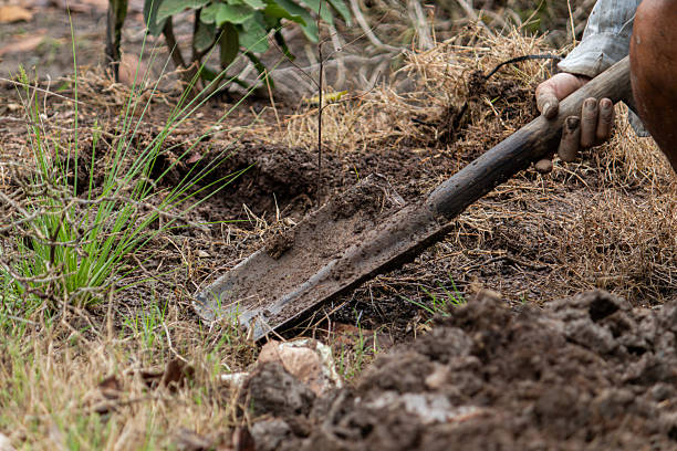 istock Farmer Digging Soil with a Shovel Close-Up 2232808385