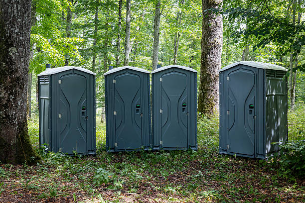 istock Chemical toilet in the forest 2232813409