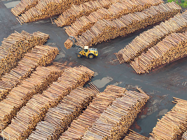 istock Log vehicle picking up logs at a lumberyard 2232814041