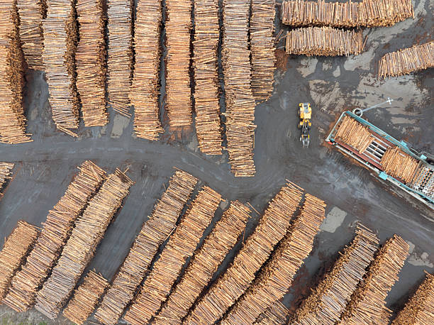 istock Aerial top down view of a log stacker vehicle at a sawmill 2232814106