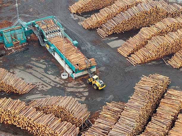 istock Aerial view of a log stacker vehicle unloading logs at a saw mill 2232814135