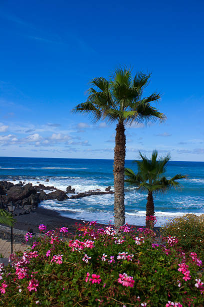 playa Jardin,Puerto de la Cruz, Tenerife Spain