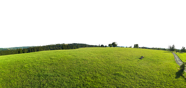green grass field and hill panorama landscape with sky isolated