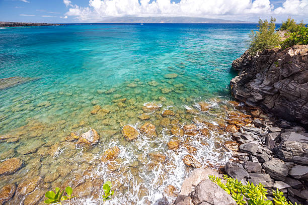 Beautiful Maui landscape in Hawaii featuring a sandy beach, turquoise sea, and lush greenery