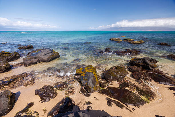 Beautiful Maui landscape in Hawaii featuring a sandy beach, turquoise sea, and lush greenery