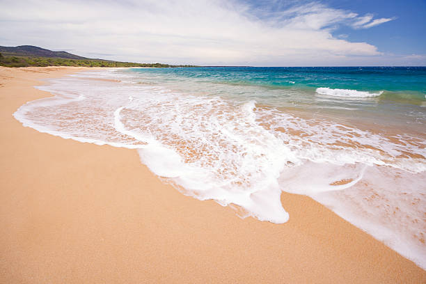 Vintage film photograph the beach a ocean through lush greenery on the tropical island of Maui, Hawaii.