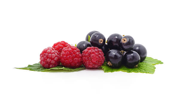istock Ripe raspberries and black currants. 2232827814