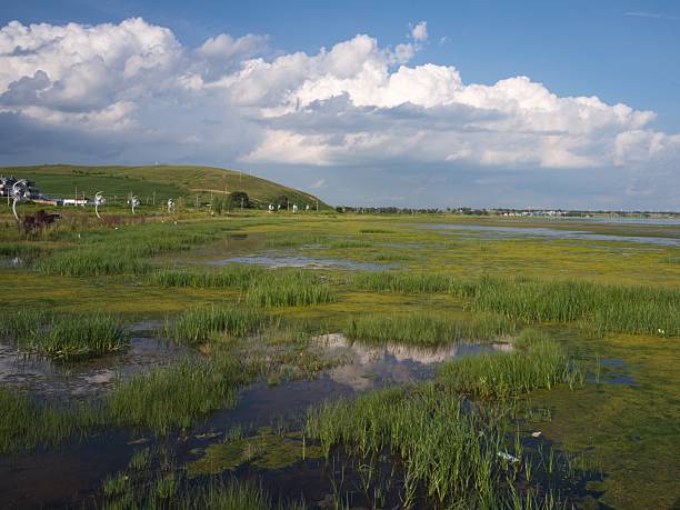 istock The grassland scenery in Guyuan, Hebei, China 2232828569