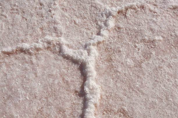 White salt salt covering ground creating unique textured surface with cracks in Tuz Golu, Turkey.