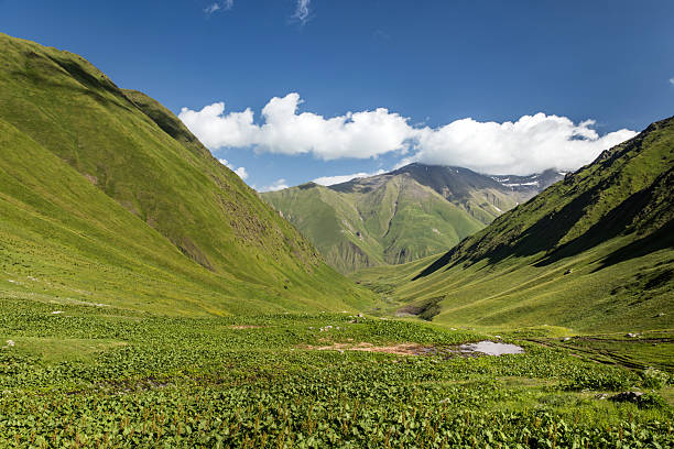 istock Jut'a valley meadows, Georgia 2232838041