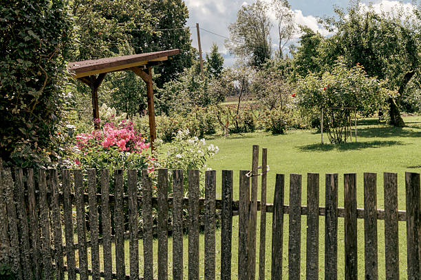 istock Rustic Garden and Lush Countryside Backyard 2232839921