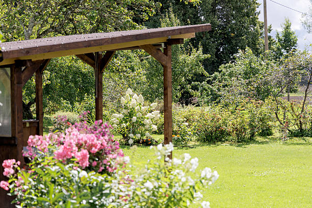 Beautiful garden with trees, lawn with green grass