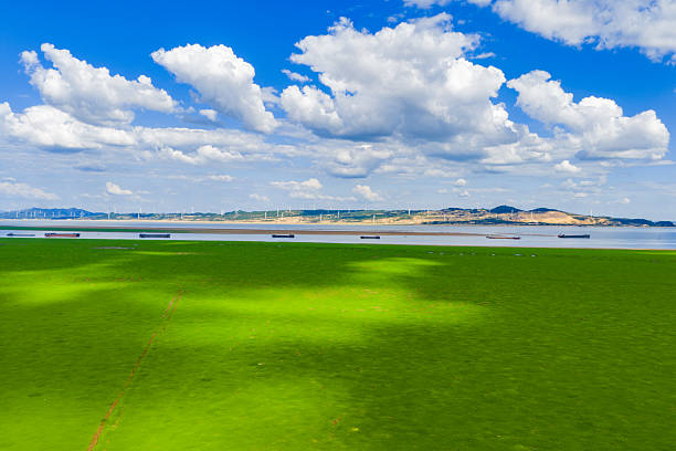 Green grassland river under blue sky and white clouds