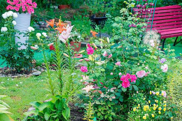 Beautiful flower garden in summer.