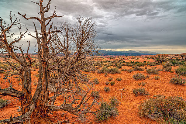 Canyonlands National Park is an American national park located in southeastern Utah near the town of Moab.