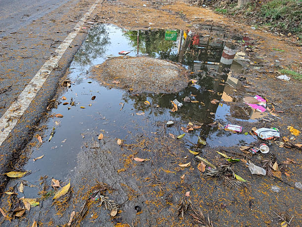 istock Roadside Puddle with Litter and Leaves 2232846641