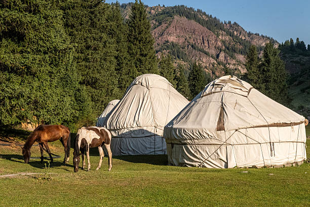 istock At the ecotrek Yurt Camp 2232847165