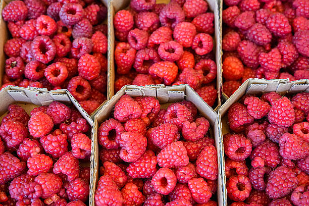 istock Close-Up of Raspberries in Container, Fresh Organic Berries 2232848037