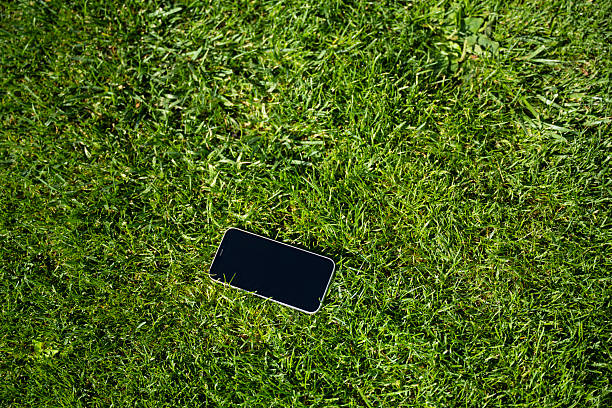 Modern smartphone with blank screen is lying on green grass