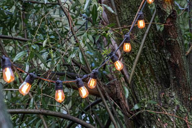 istock Tranquil outdoor scene at dusk, string lights illuminating two bare trees Warmly glowing opaque light bulbs Moody lighting, texture focus Perspective from below, adding depth 2232855133