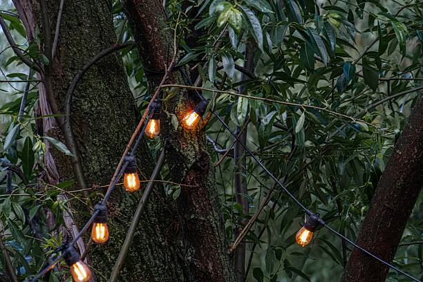 istock Close-up view of outdoor setting with hanging Edison bulb string lights, illuminated against darkness, suggesting dusk or nighttime Outdoor garden or forest edge background hinted by greenery Reali 2232855138
