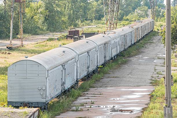 Old freight train parked on tracks alongside a road in an industrial or rural setting Several worn boxcars, rust spots, and matte finish Parallel roads with grassy embankments Overcast sky, natura