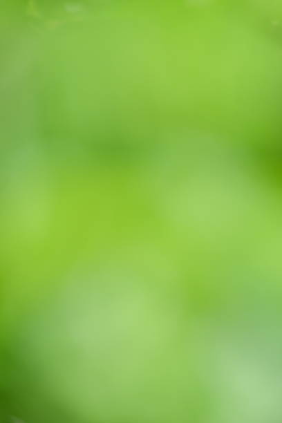 istock Soft green blurred background with vibrant hues, creating a serene and calming atmosphere, ideal for nature-themed designs and artistic projects with copy space 2232862533