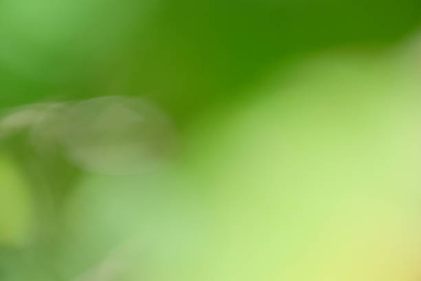 istock Soft focus abstract background featuring vibrant green hues and blurred natural elements, creating a serene and tranquil atmosphere for design and artistic projects 2232862822