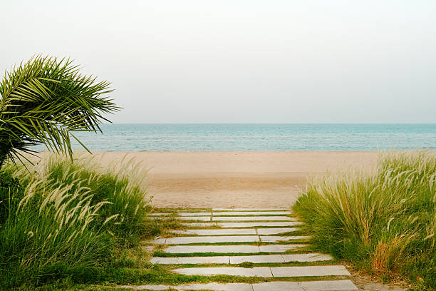 Concrete path winds along a dune overlooking the ocean at sunset, offering a serene coastal landscape