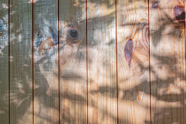 istock Wooden deck, partially shaded by a lush green tree, constructed from weathered brown planks Dappled sunlight filters through the leaves, creating a play of light and shadow Perspective is low, invi 2232867088