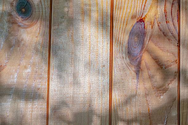istock Close-up view of wooden surface with visible grain patterns, uneven lighting, natural texture, brown color palette, no human-made embellishment 2232867111