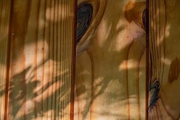 istock Close-up view of a wooden structure with filtered sunlight through vegetation, creating a patterned shadow on its surface a 2232867206