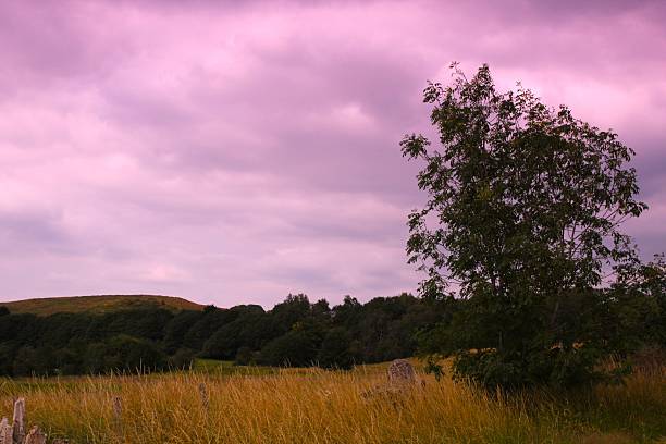 Big sky with purple filter lens